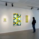 Vue exposition Marine Bouilloud Galerie Pictura 2026